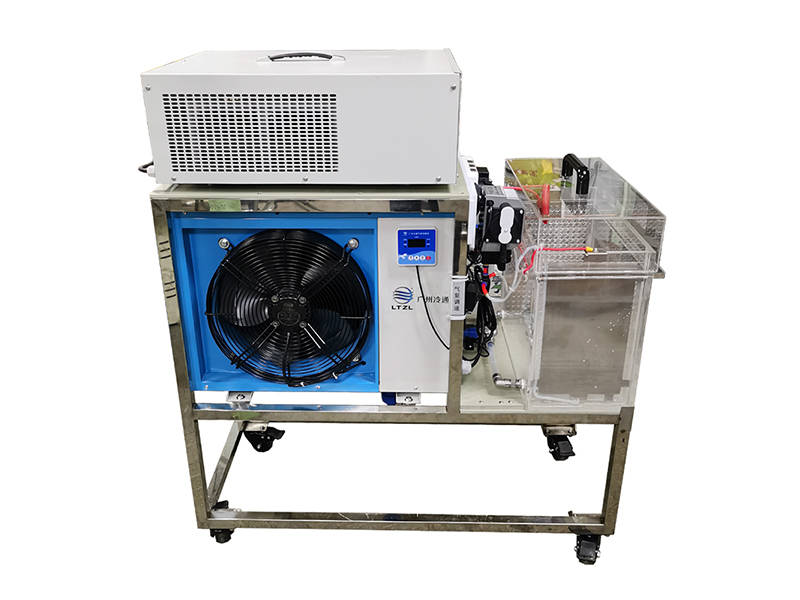 MAO experimental system